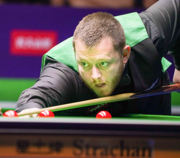 企业不仅可 企业不仅可